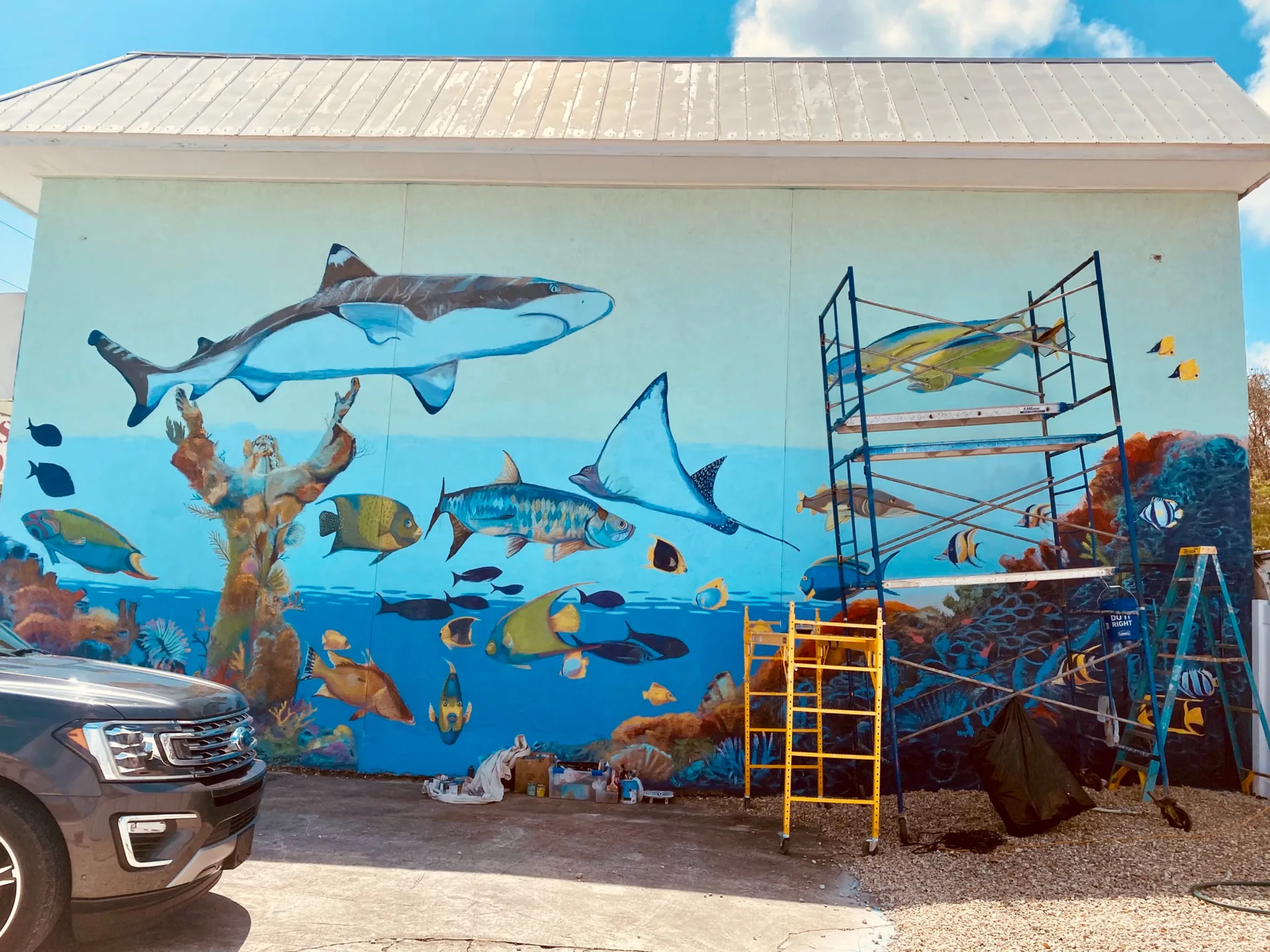 Before - Scuba outlet