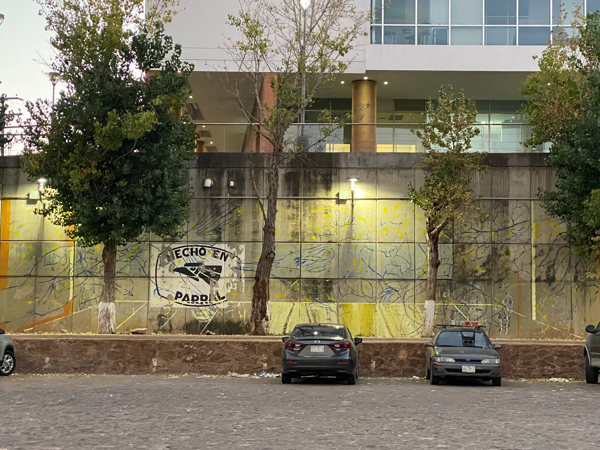 Antes - Aleteo de Bugambilias 