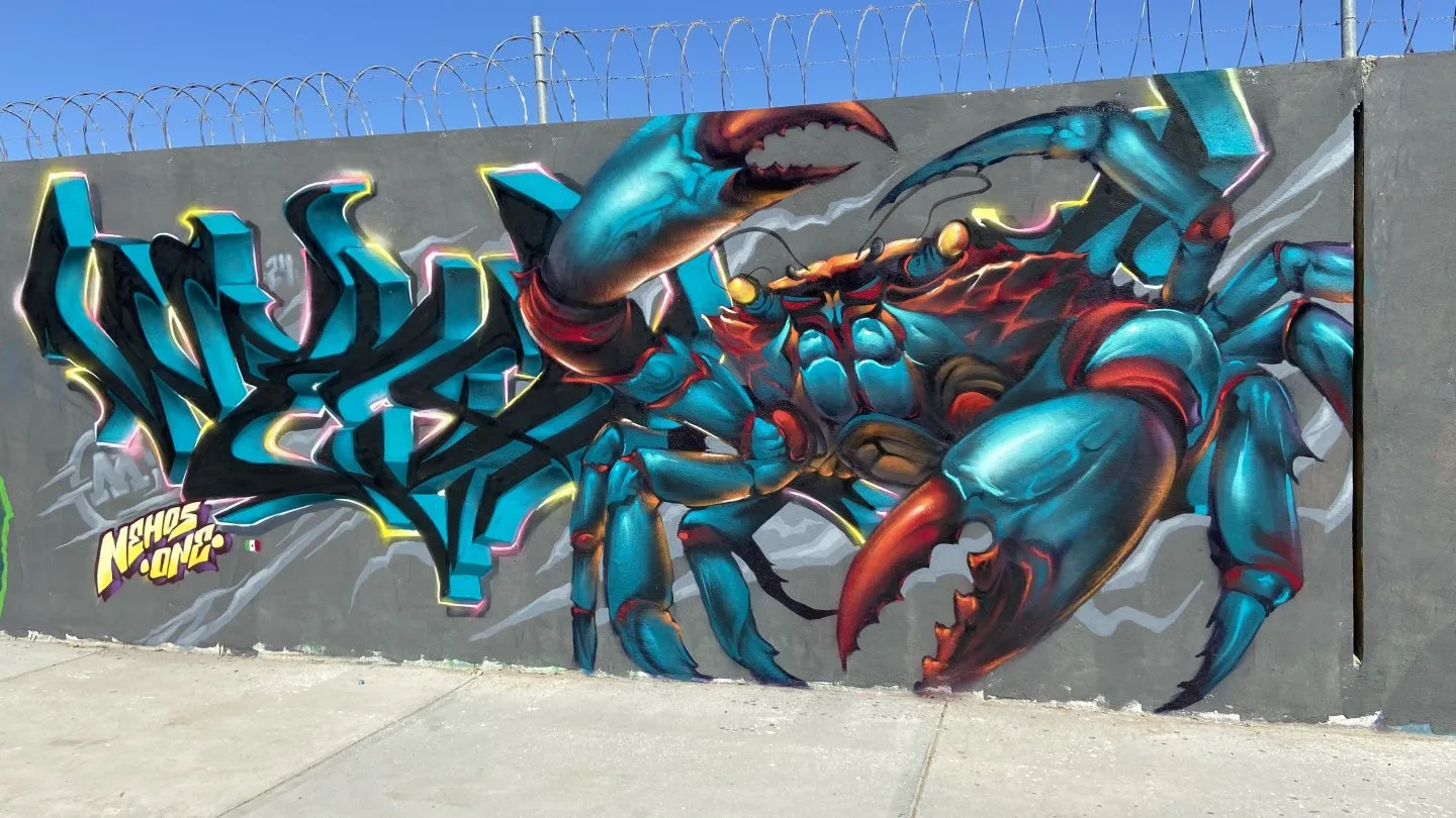 CANGREJO BAJA COLORS