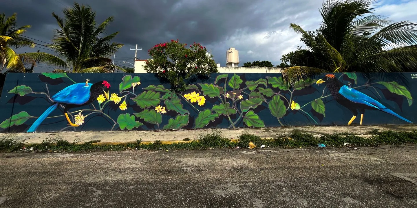 Charas y golondrinas 