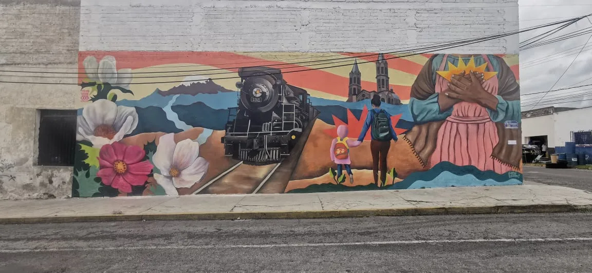 Contemplar las raíces