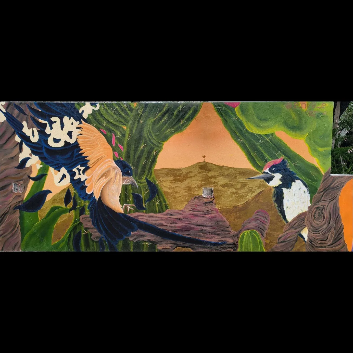 Crían Carpinteros para Volverse Golondrinas 