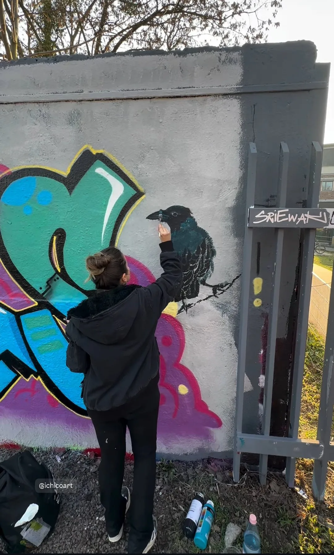 Cuervo en el muro de Berlin