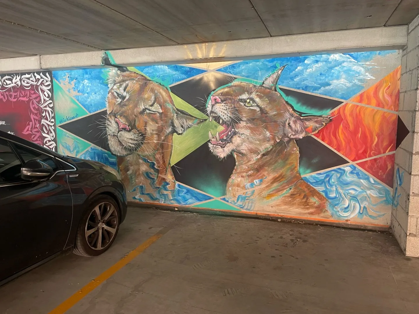 Discurso ecológico entre pumas