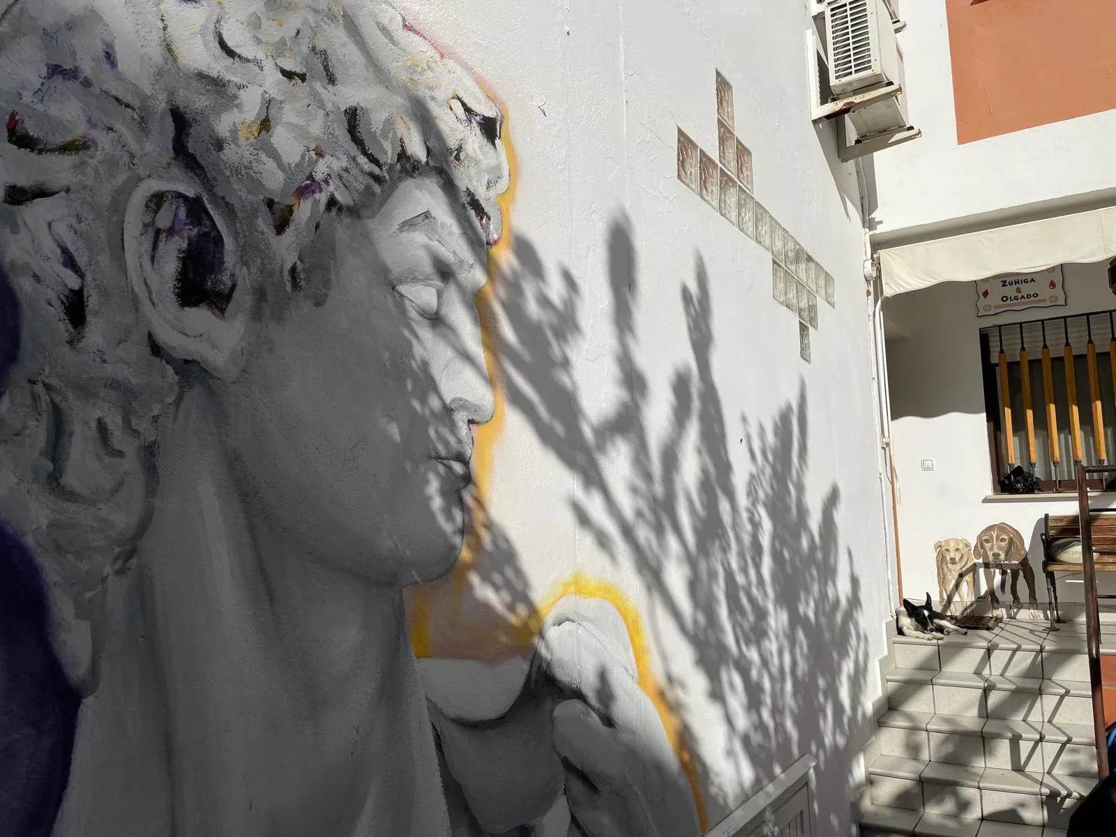 El David y los Perros