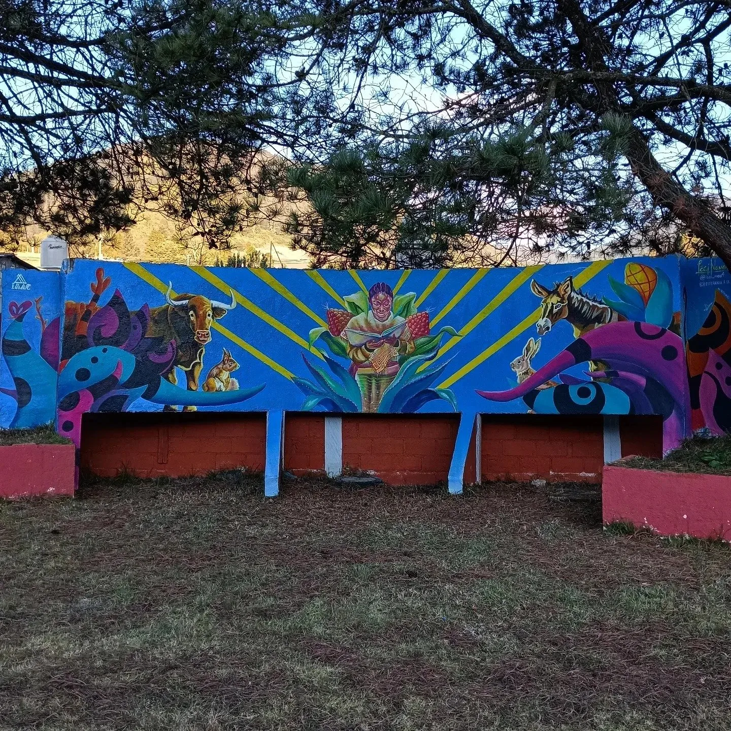 EL NACIMINTO DEL SABER 