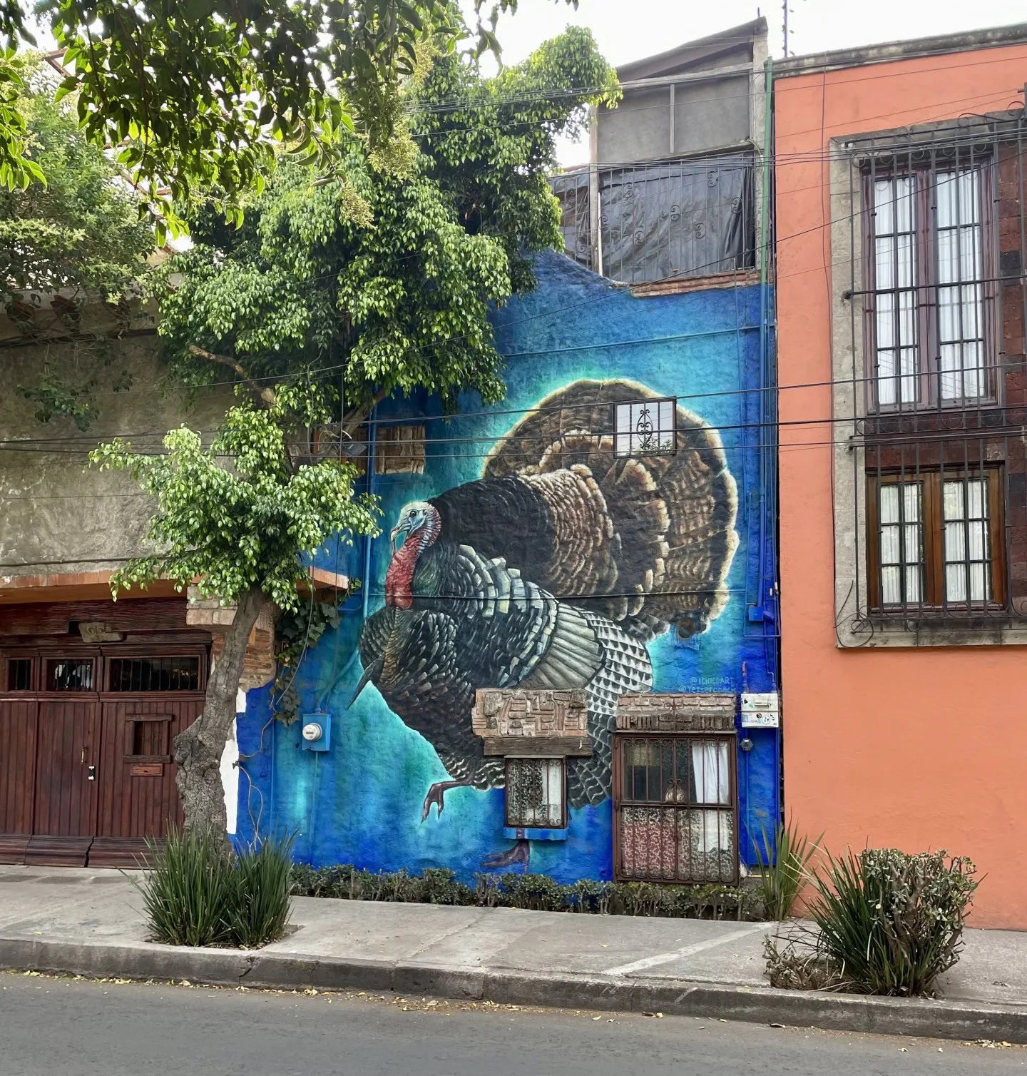 Guajolote enojado (que la oración con Yetseronack)