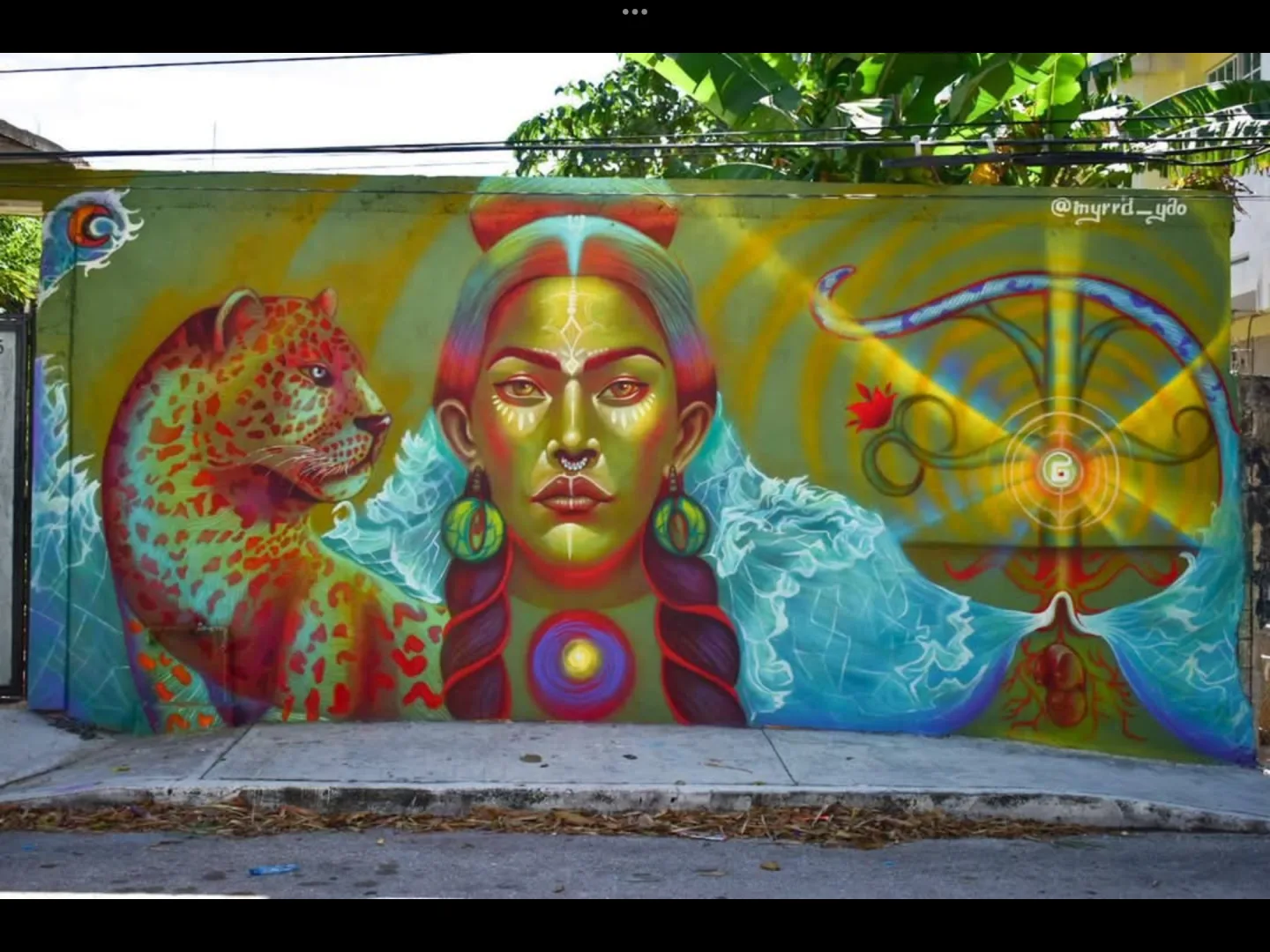 “Guardiana de Manglares, Mar y Selva “ 