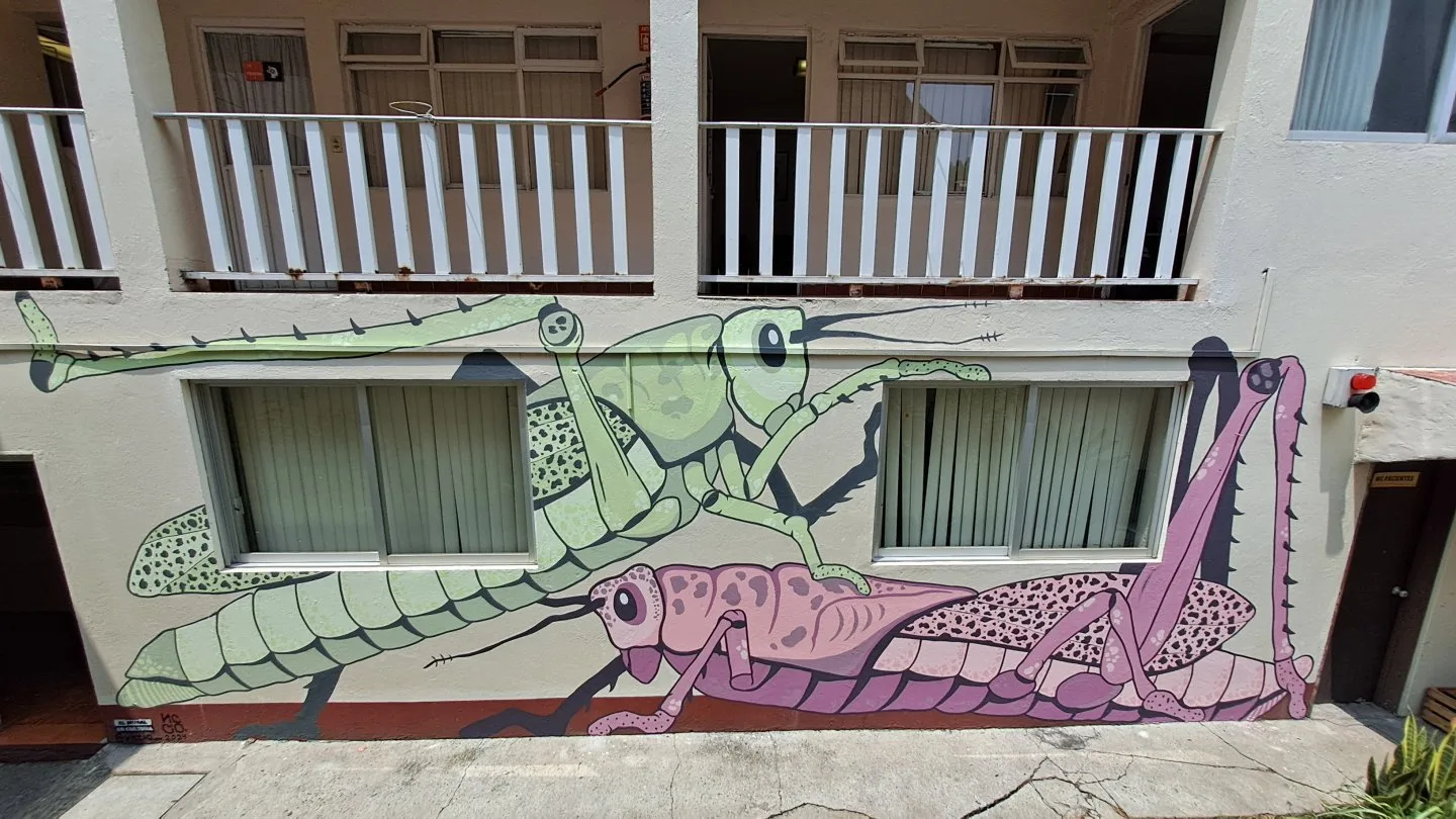 Guardianes del jardín - CIJ Miguel Hidalgo