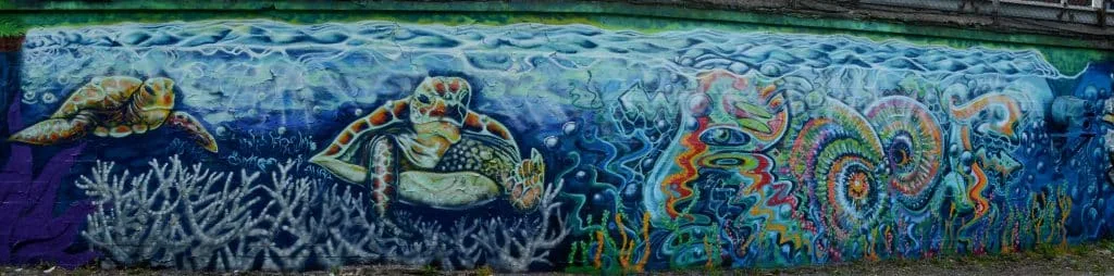 Save the Reef