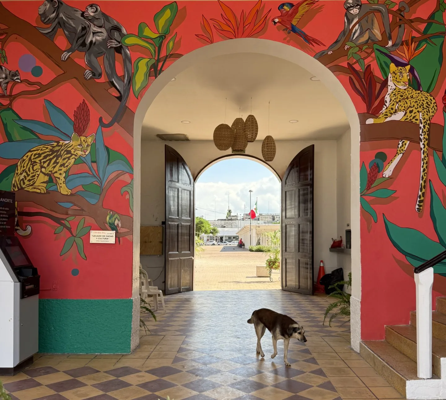 Legado de cacao y cultura