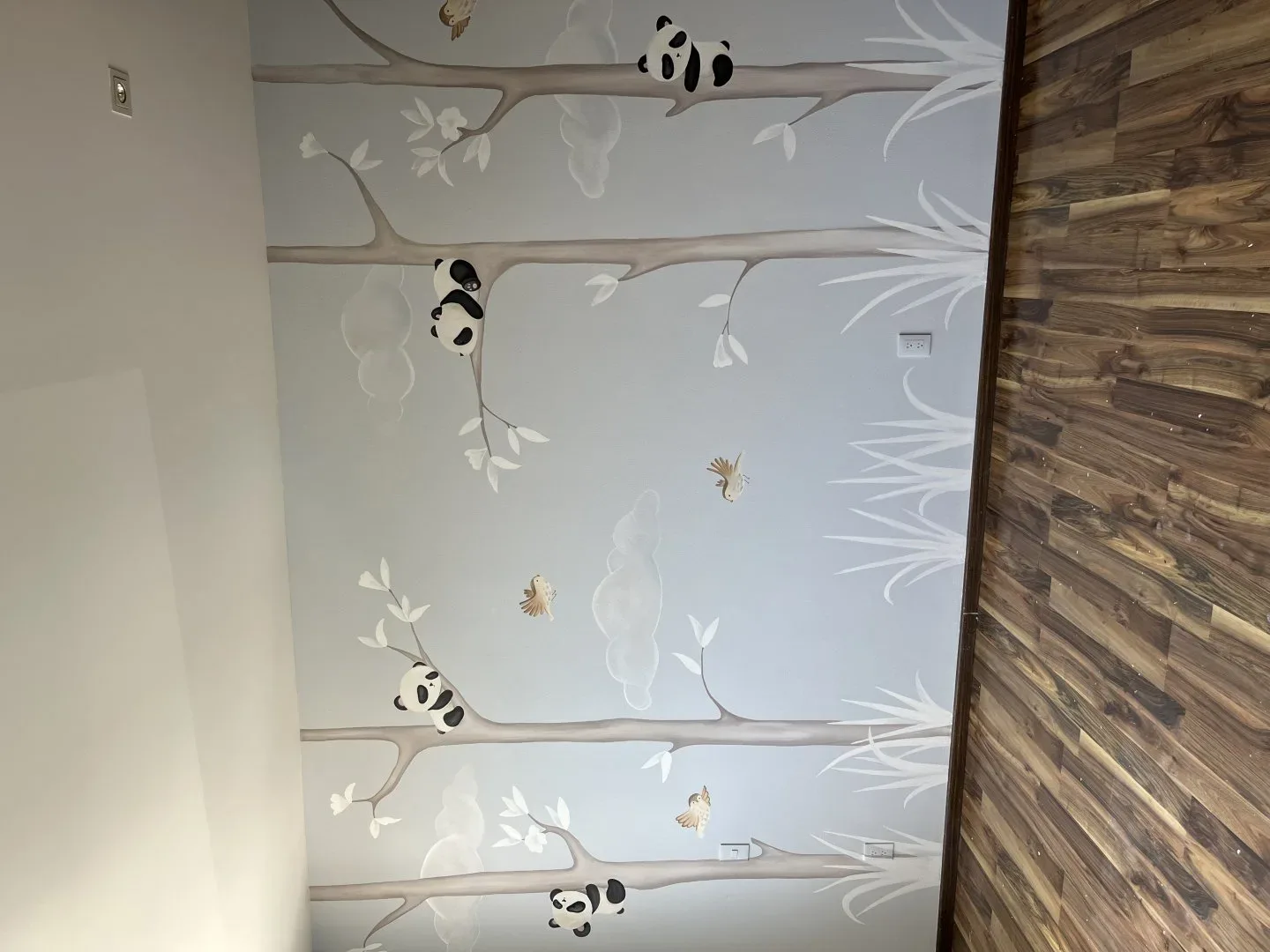 Pandas 