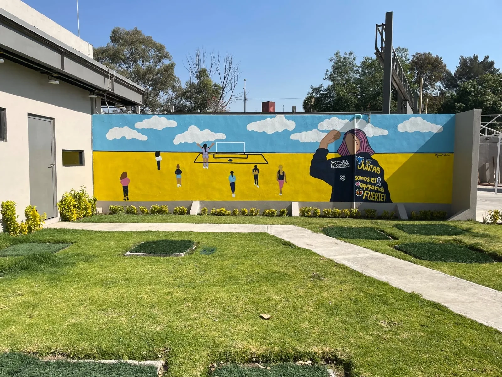 Juntas Somos Fuertes