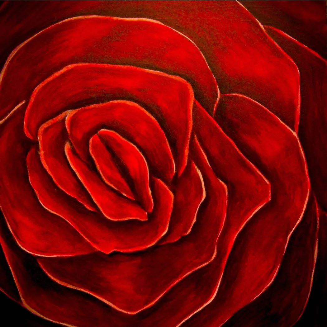 Red Velvet Rose