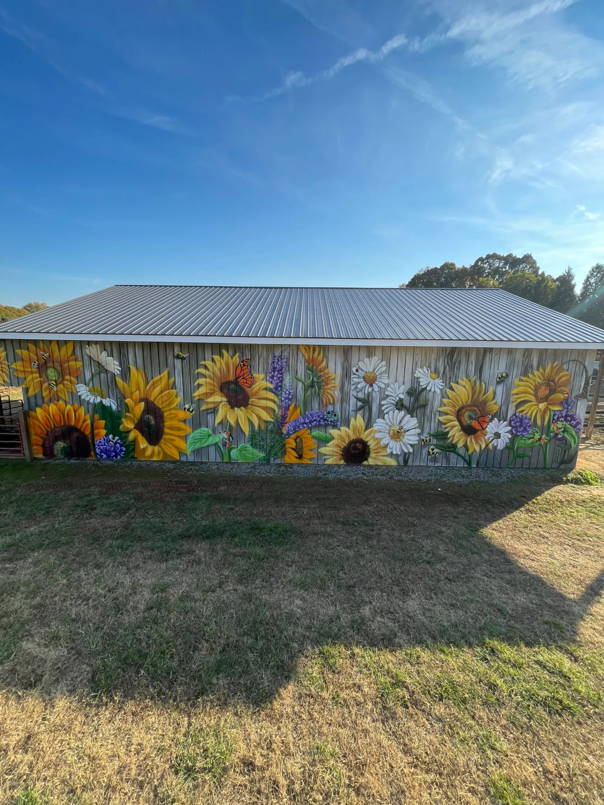 Moore Sunflowers 