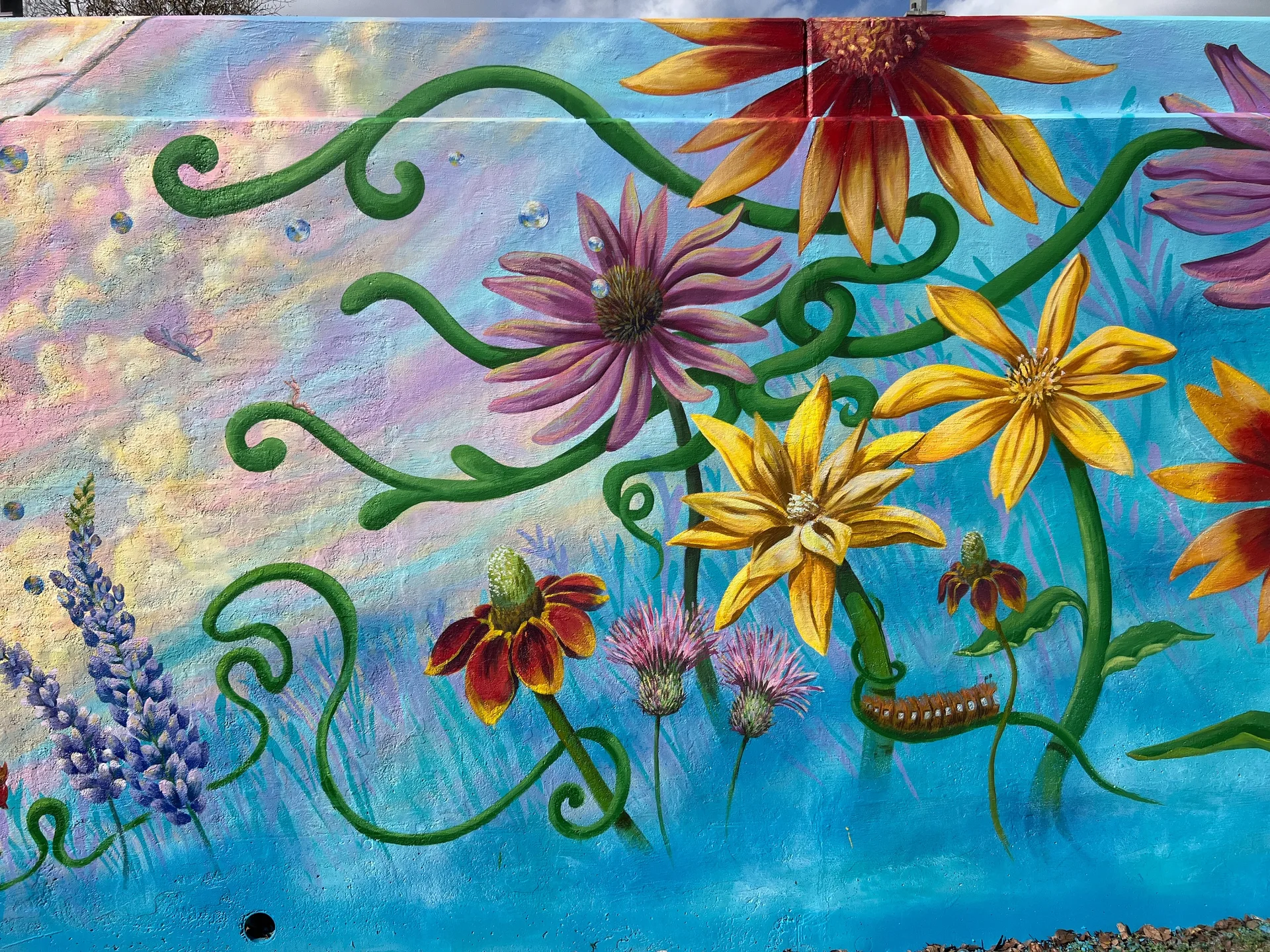 Flight of The Pollinator 