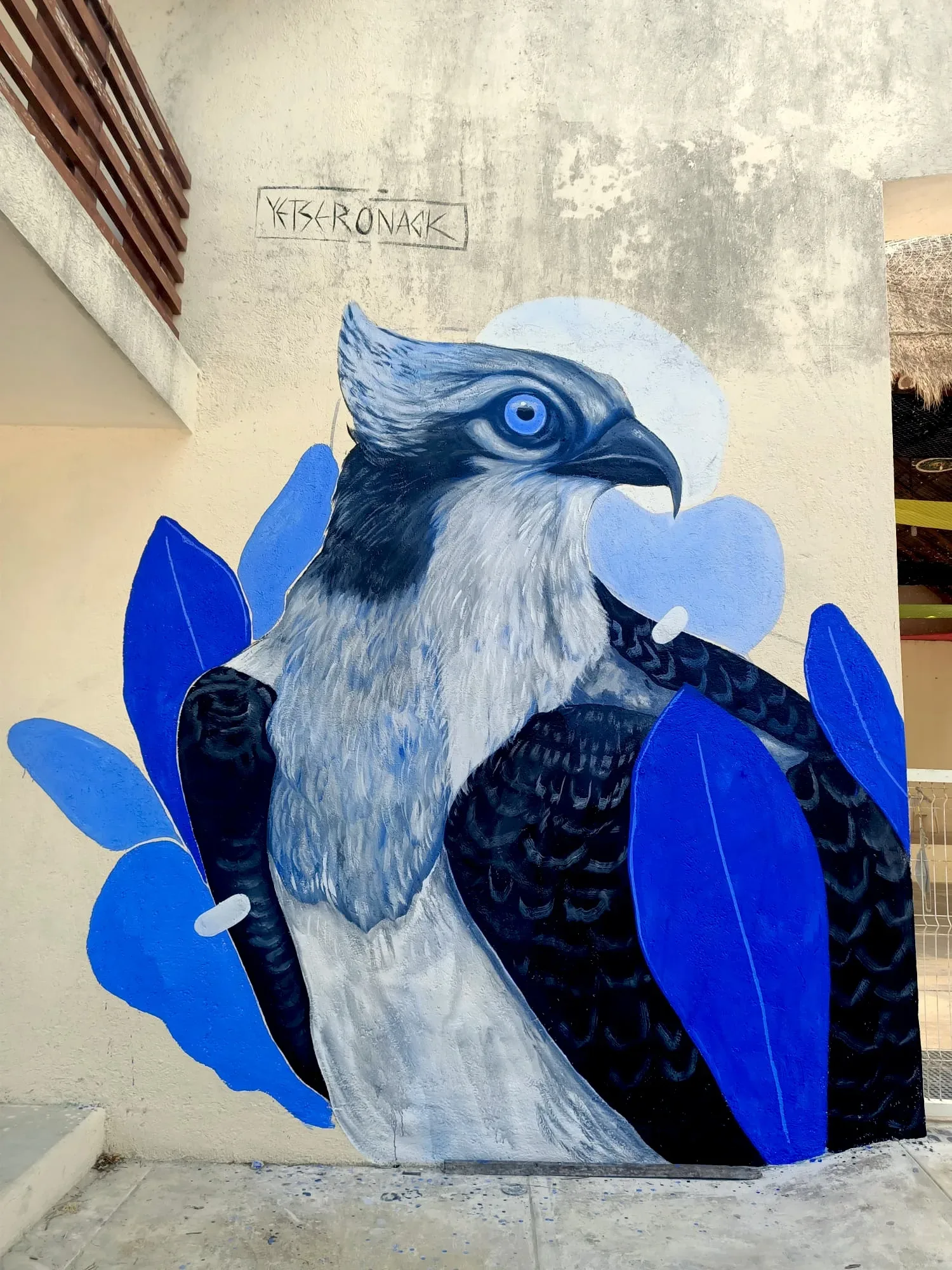 Águila pescadora