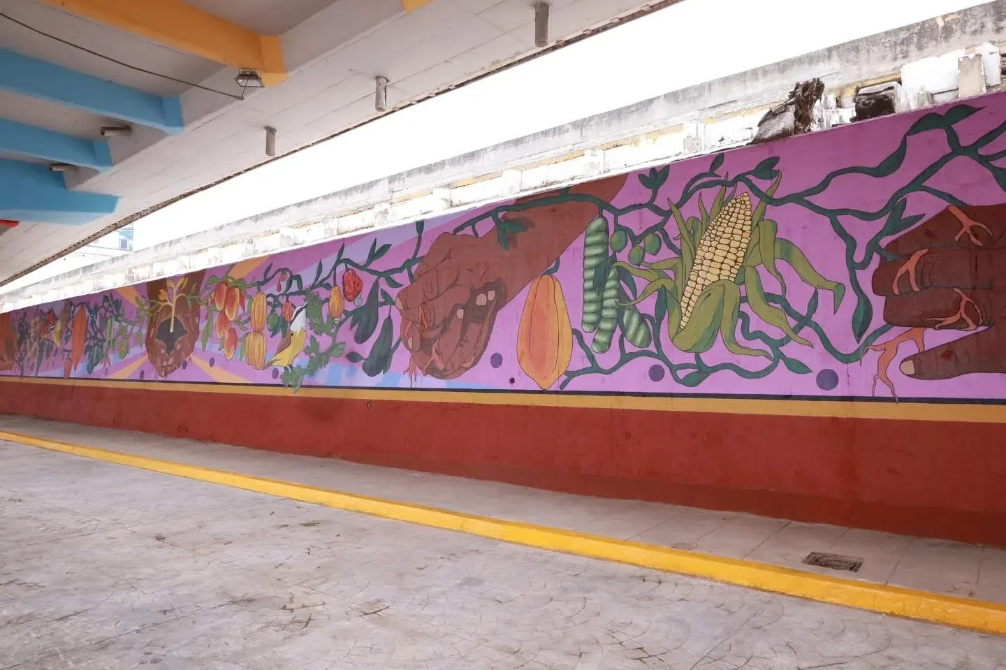 Raíces 