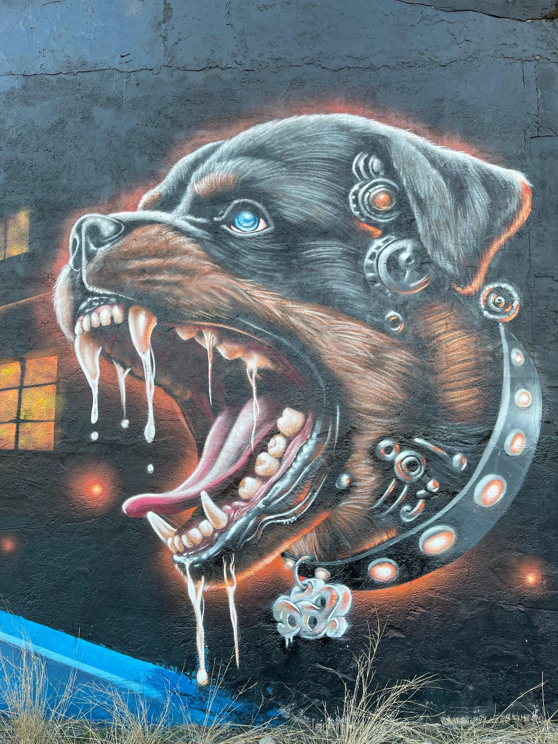 Perro ladrador..