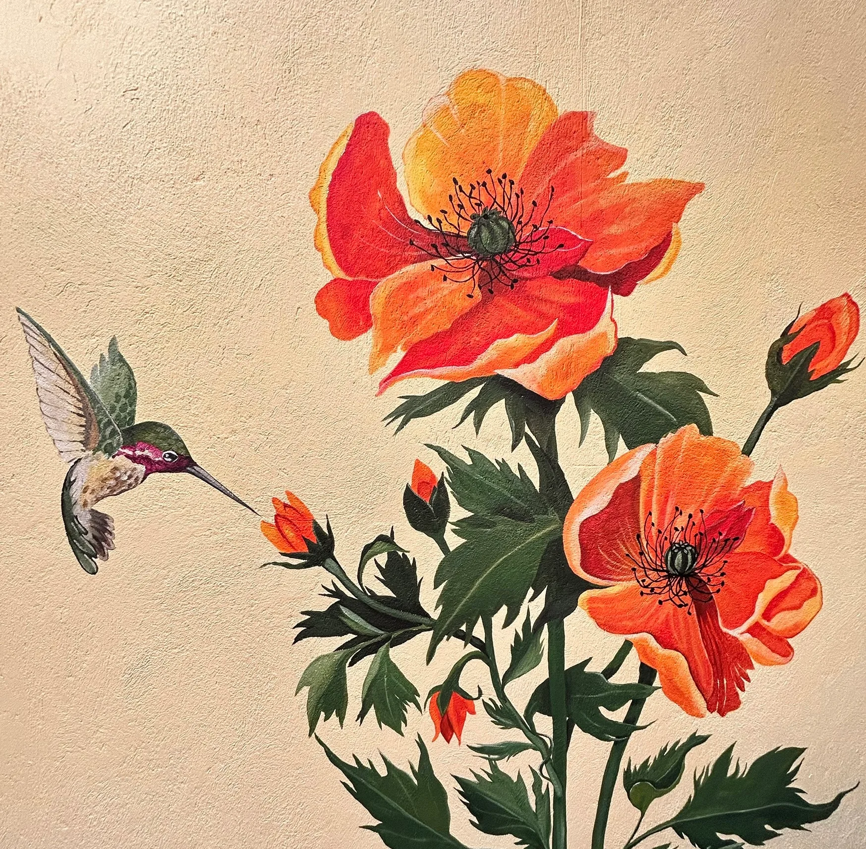 Amapolas y colibrí .