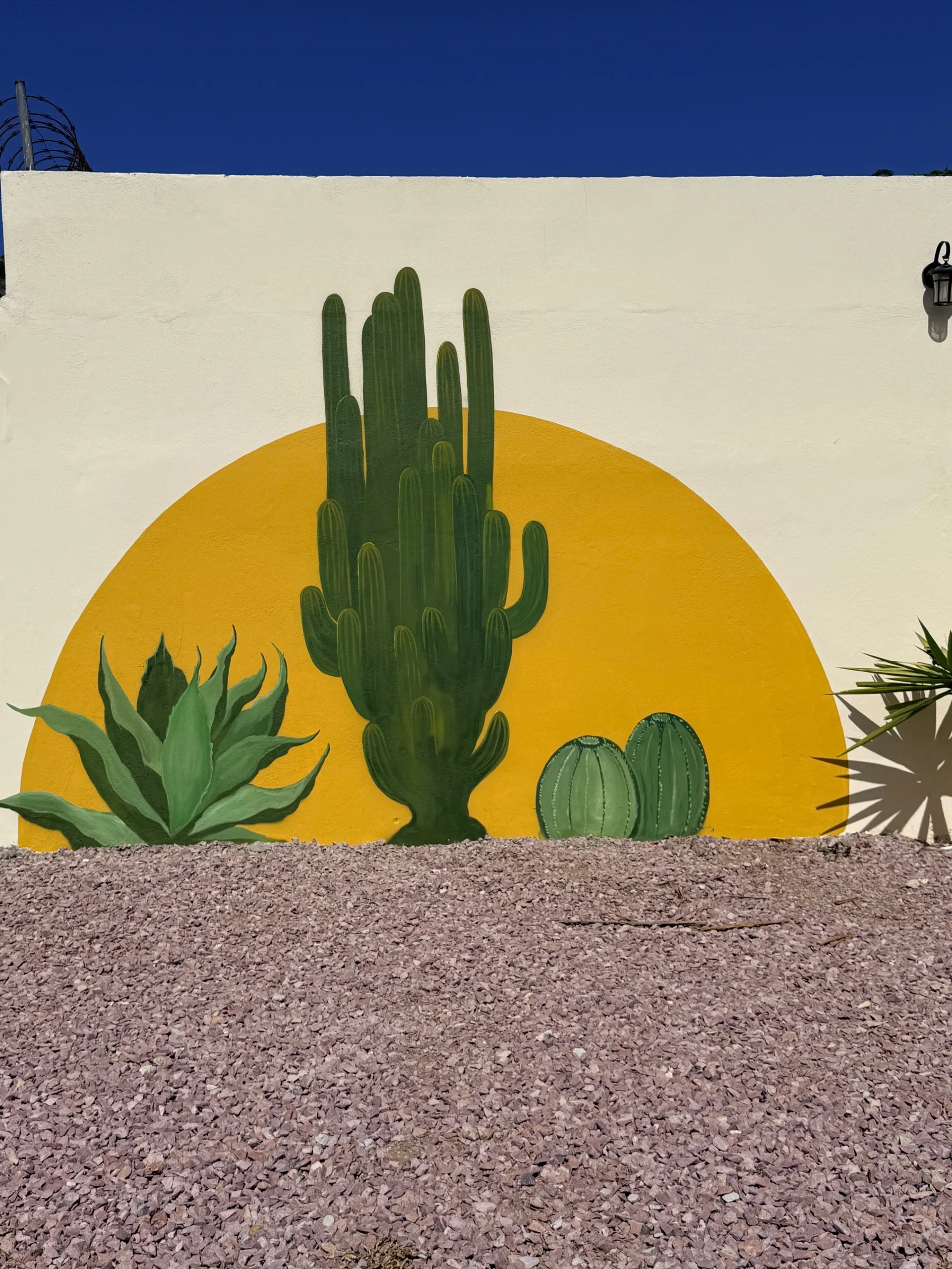 Cactus sol