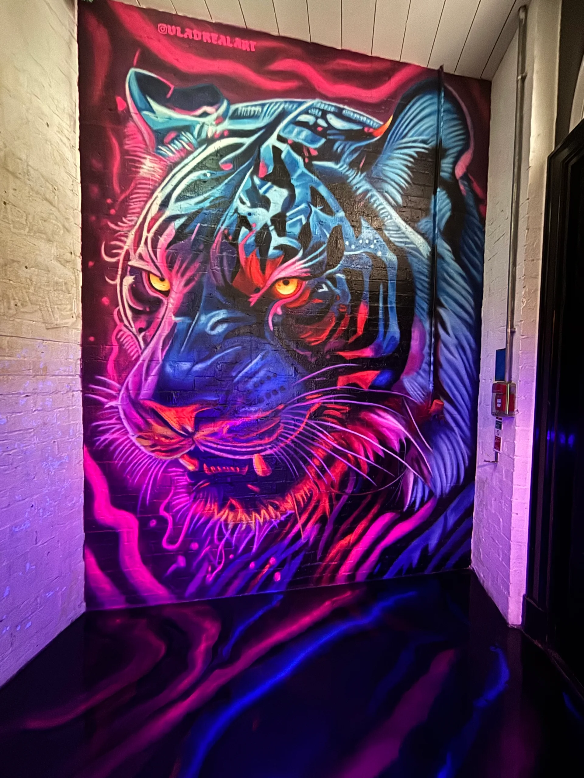 Spirit of Tiger