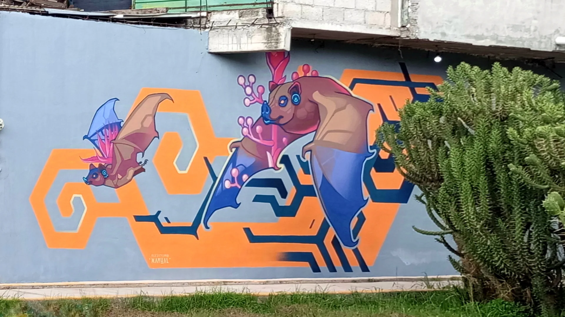 "Murcielagos Magueyeros"