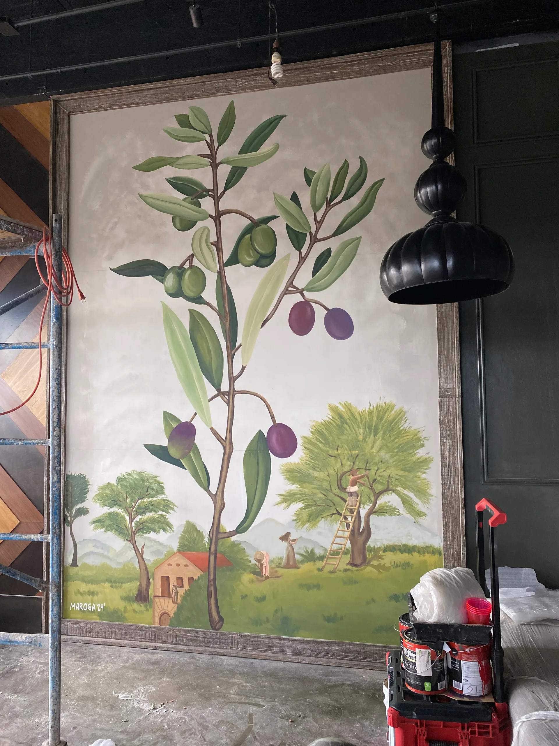 “Planta de olivo”