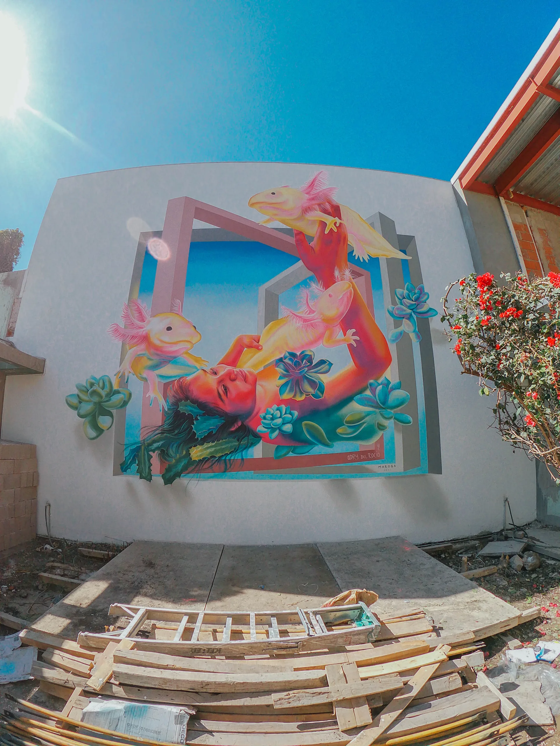 Asistencia para Adry 