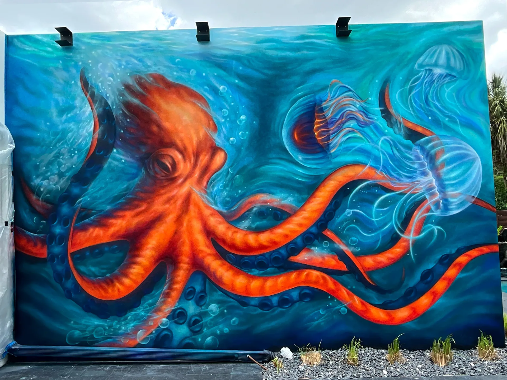 Octopus x Jellyfish