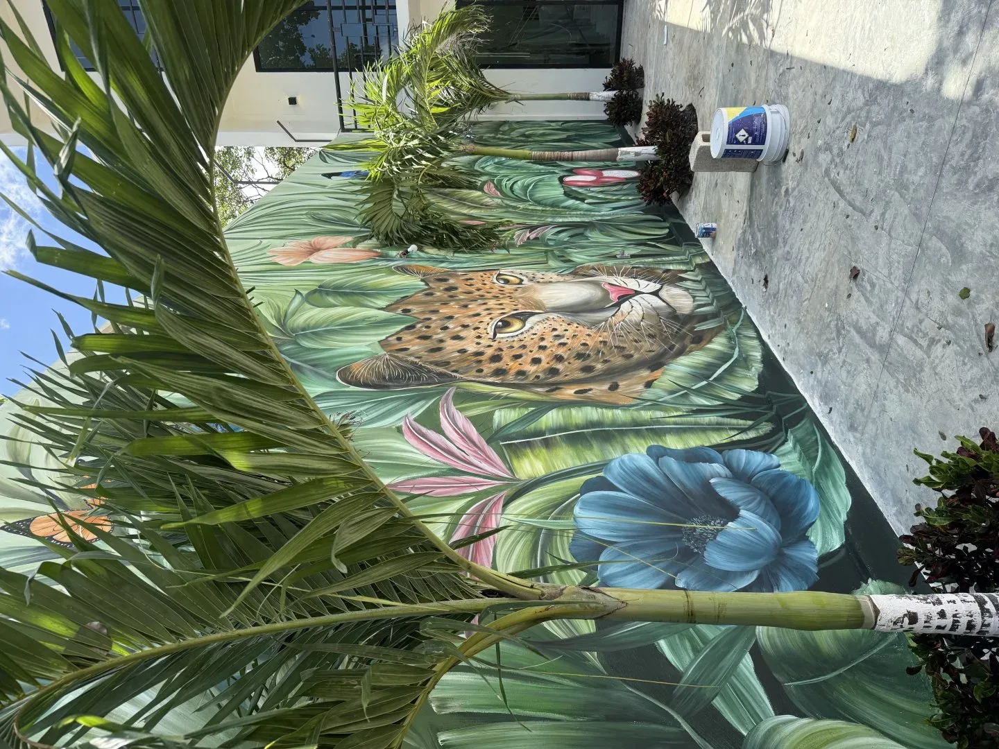 Jaguar 2