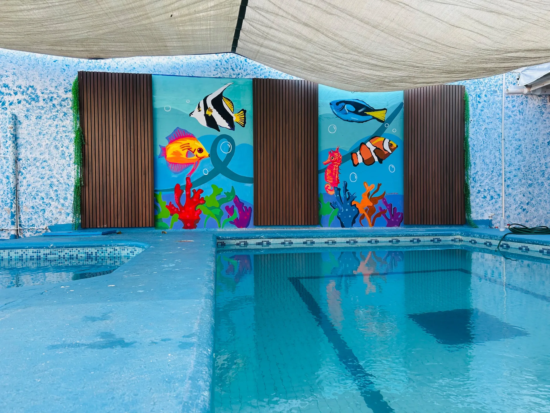 Lilikys Pool