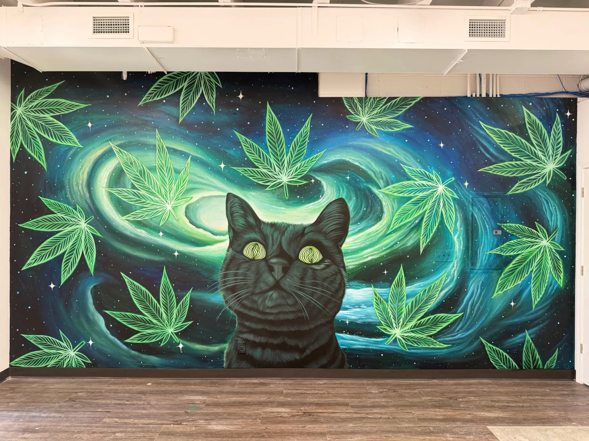 Dispensary cat