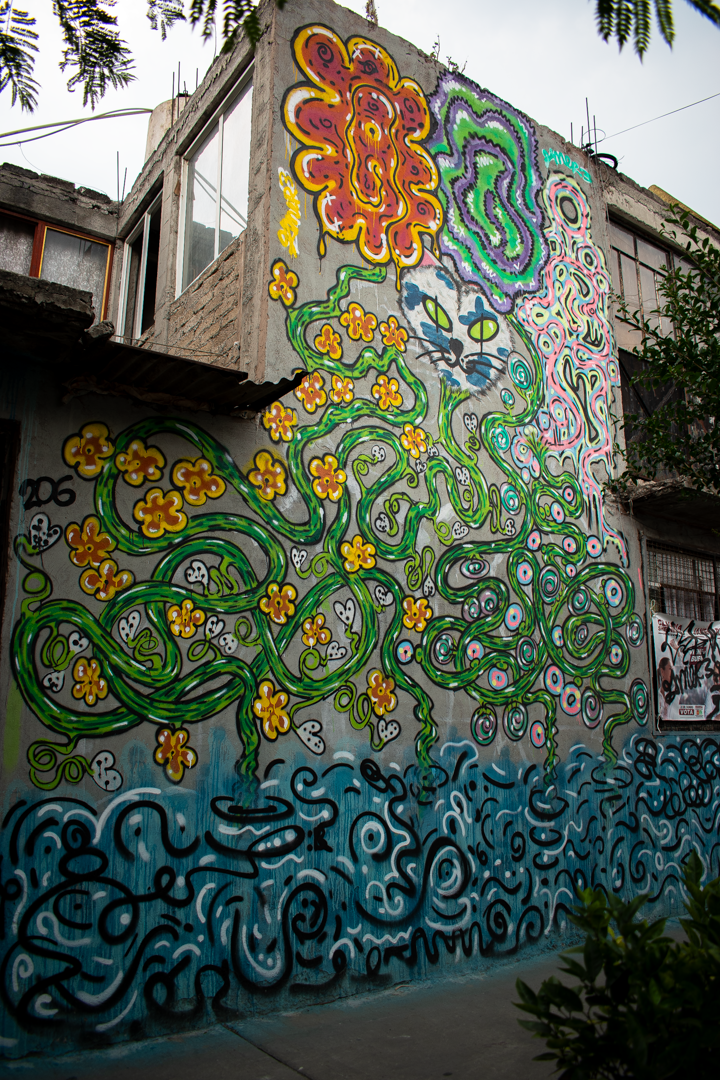 amor floral