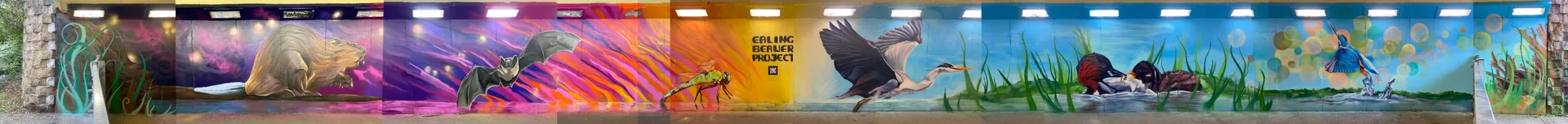 The Ealing Beaver Project
