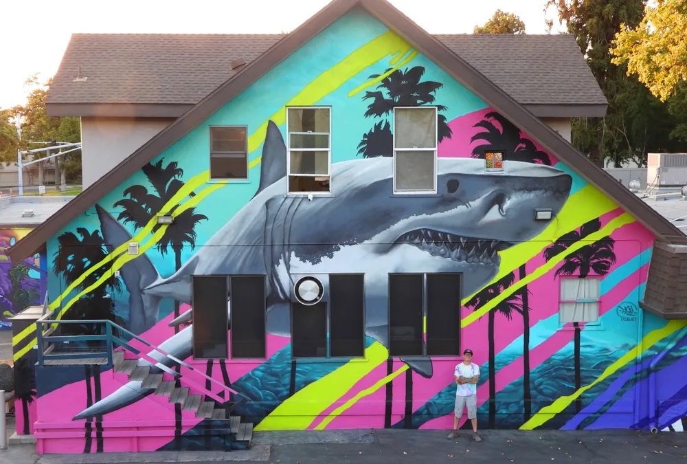 Shark at California B.C.