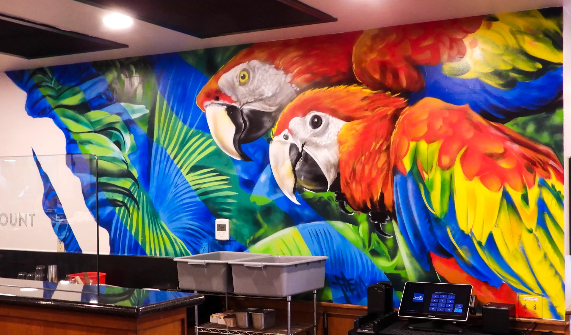 Macaws in Fuzio's