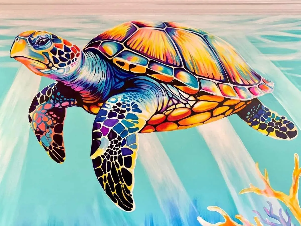 Sea Turtle 