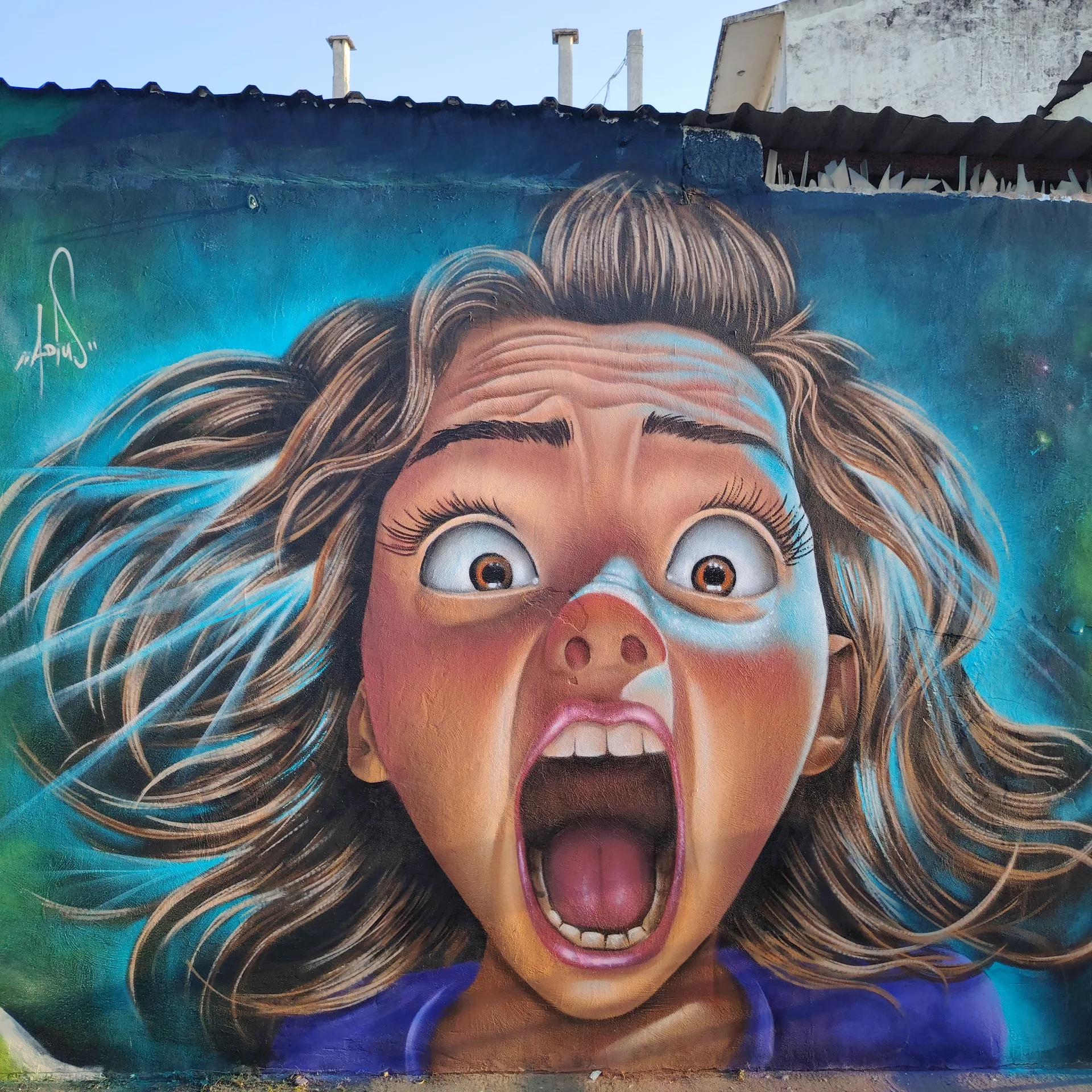 Distorcion