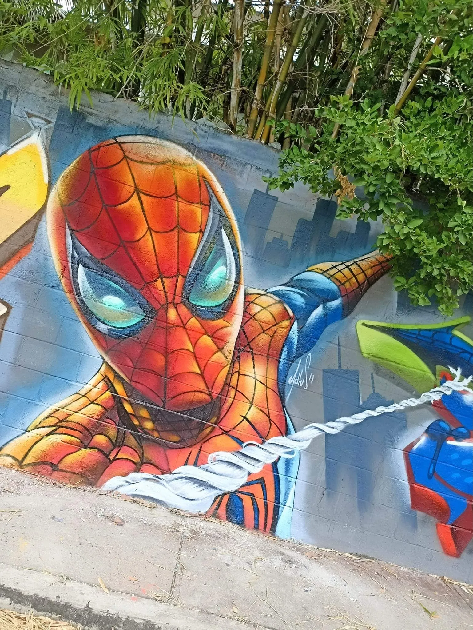 Spider