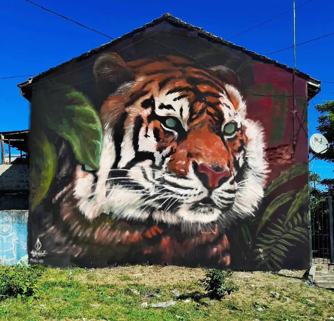 A Blind Tiger