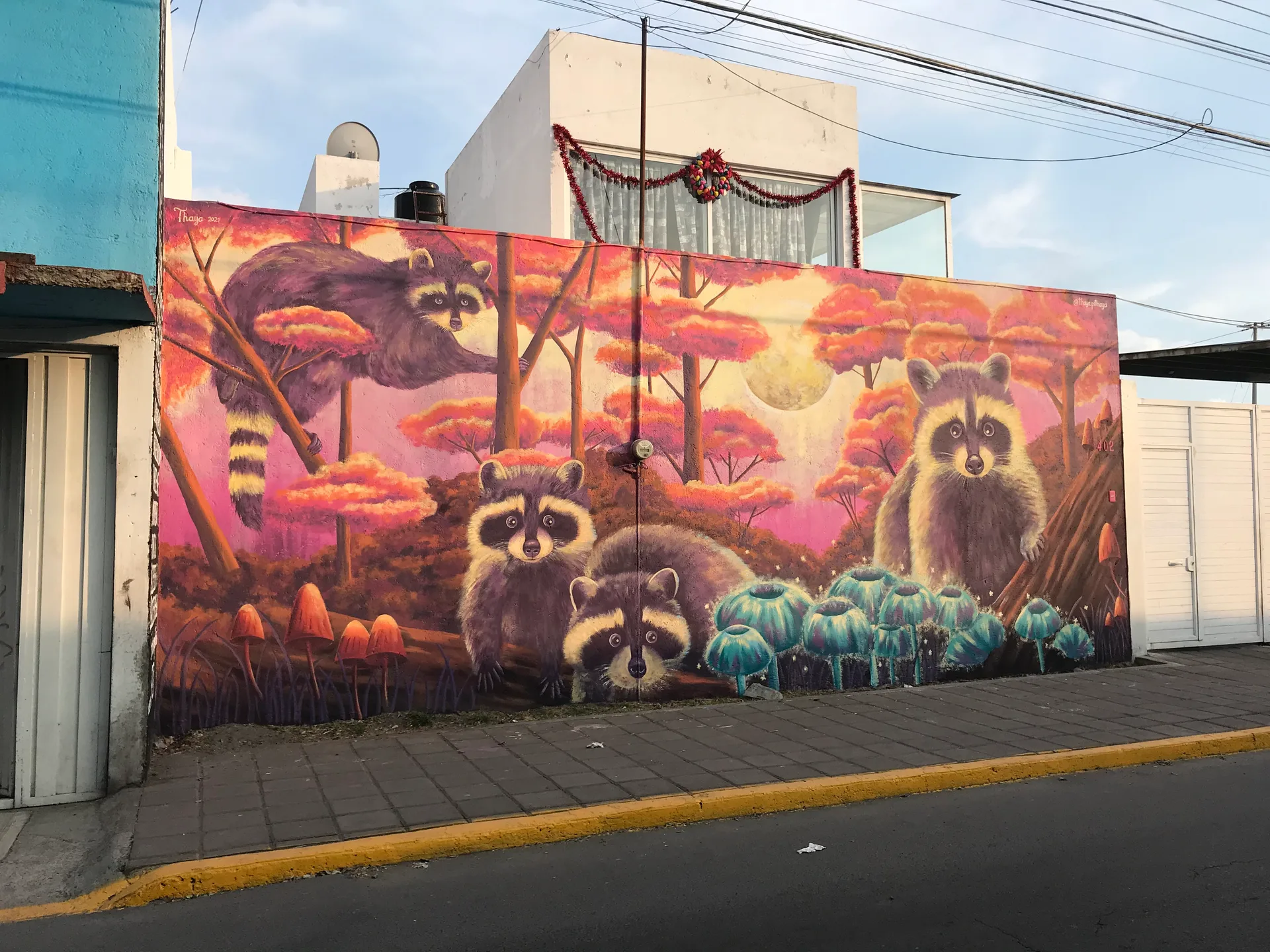 Ensueño fluorescente 