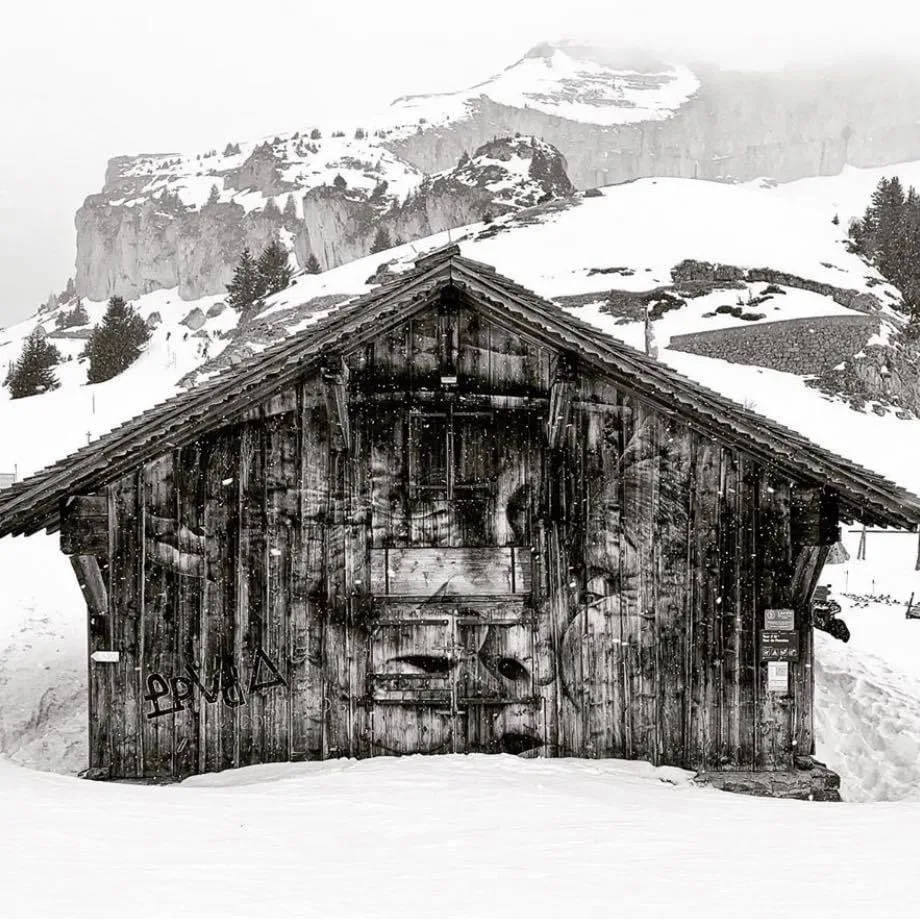 Mayen Leysin 