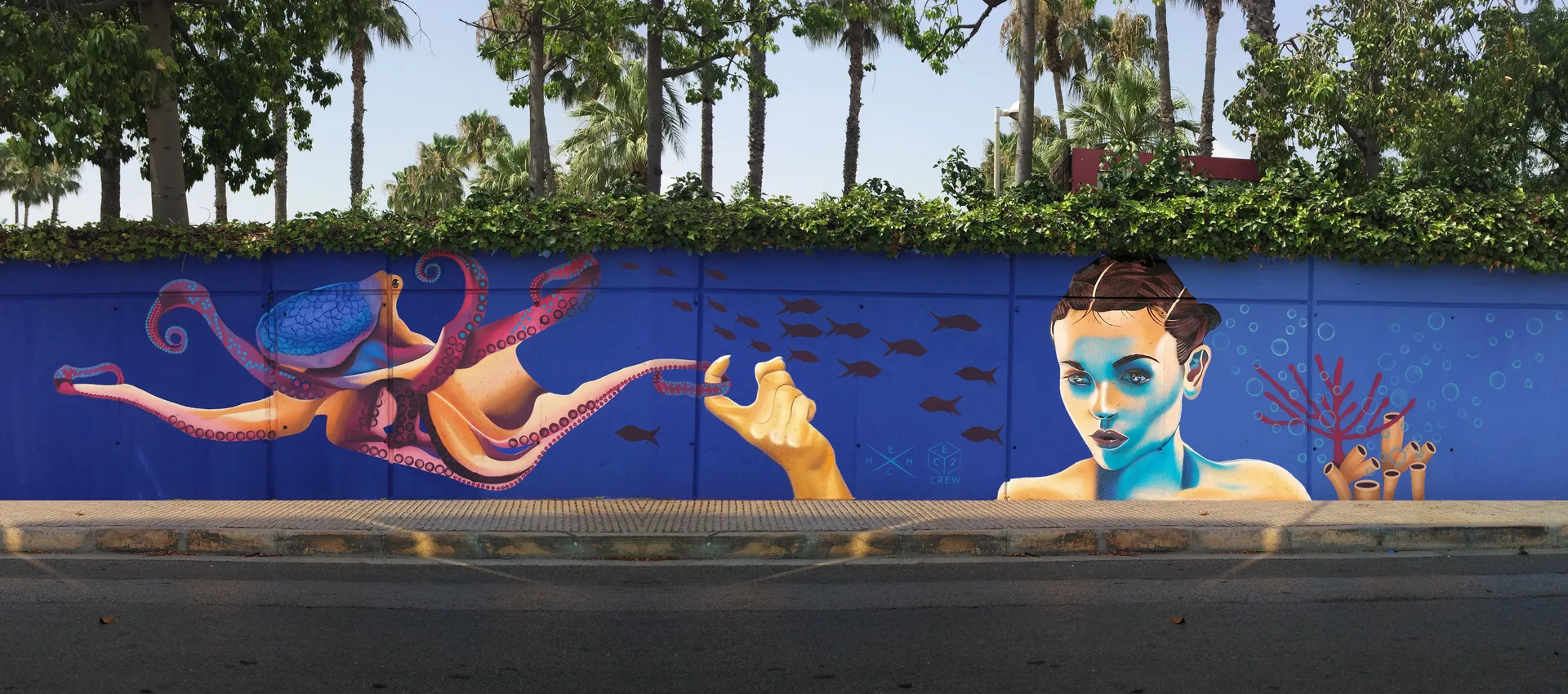 Contacto del Mediterráneo