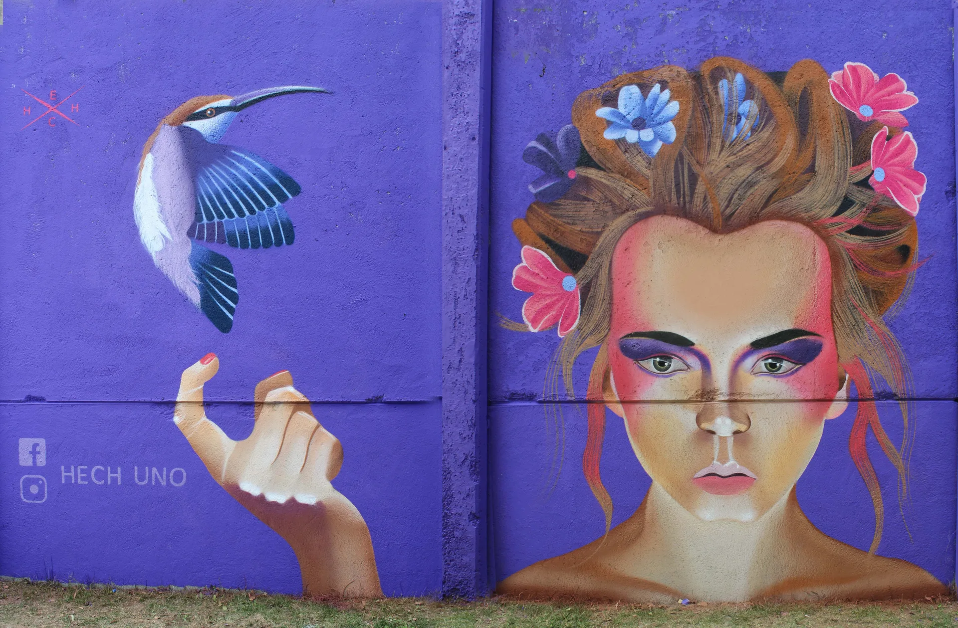 Flores Lilas