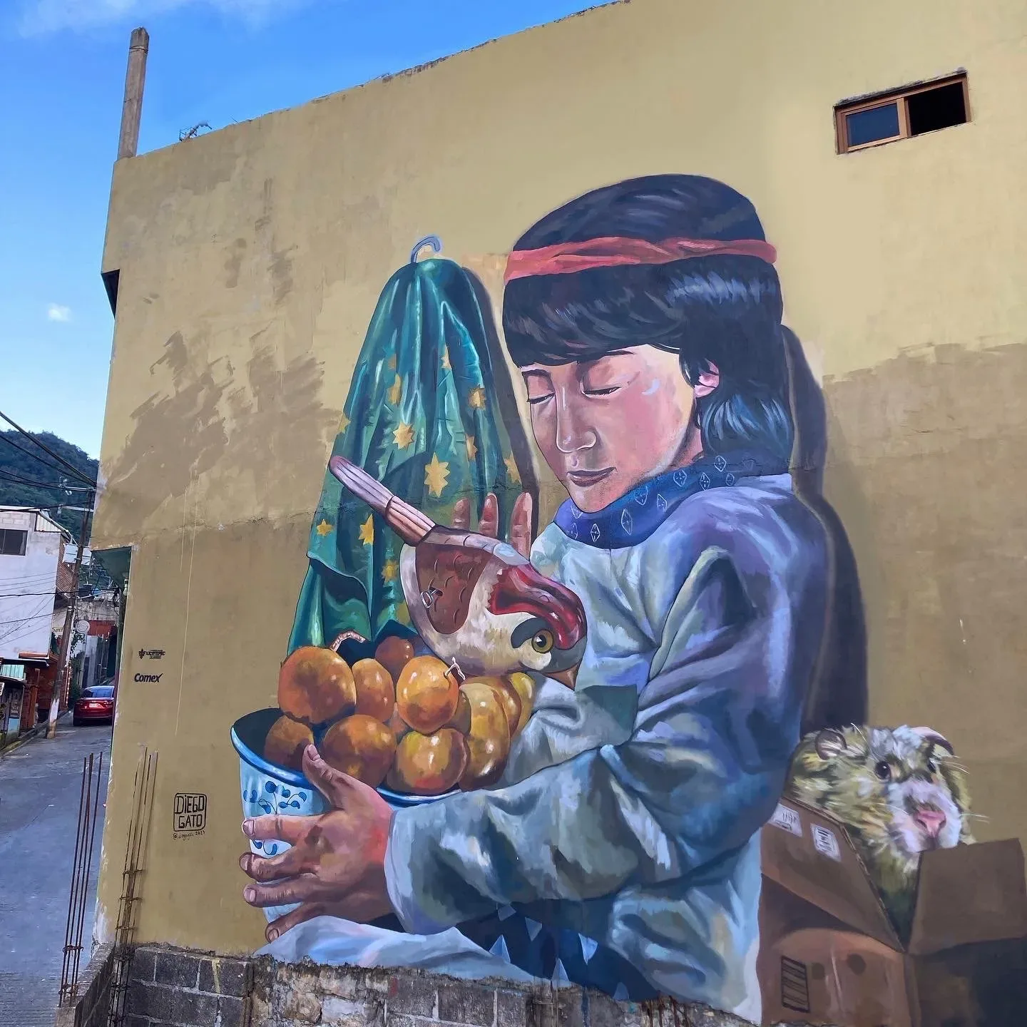Manto de la virgen