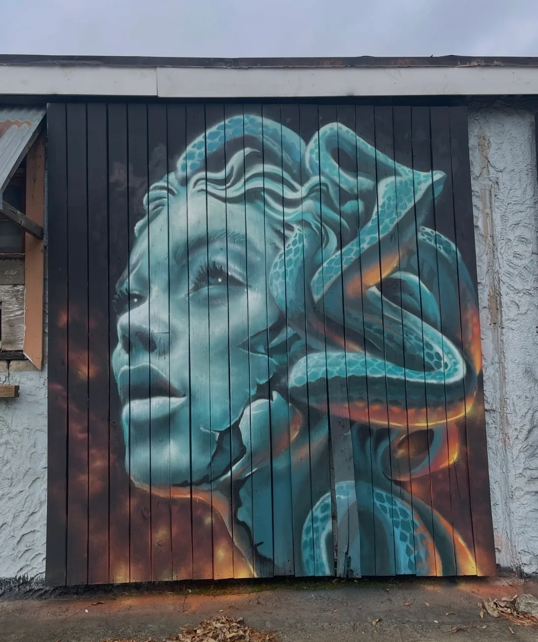 The Gorgon(Medusa)