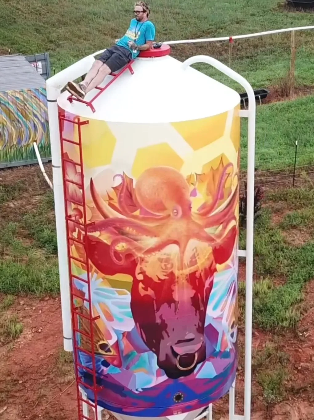While lotta bull