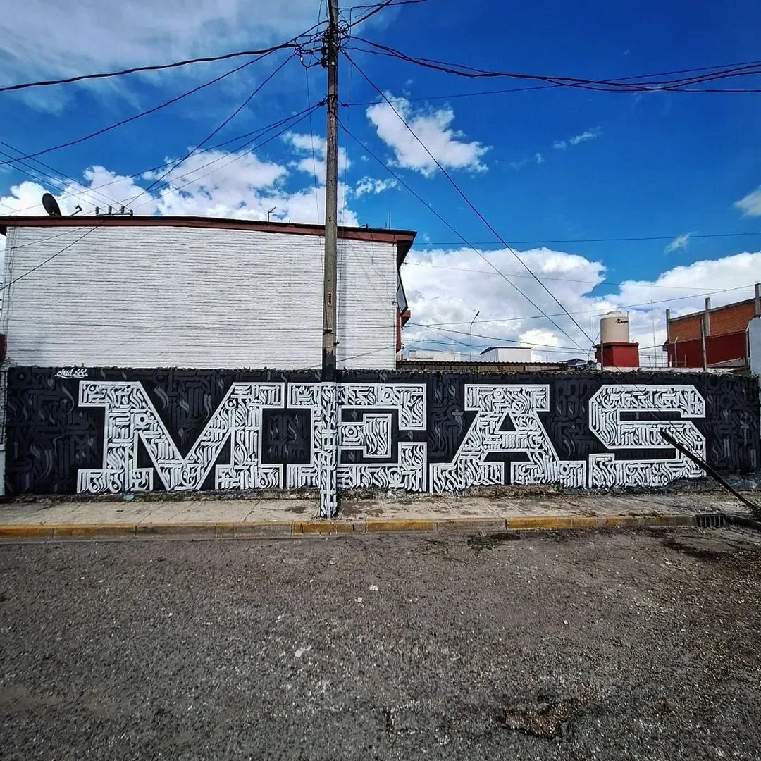 MI EXPRESIÓN EN AEROSOL
