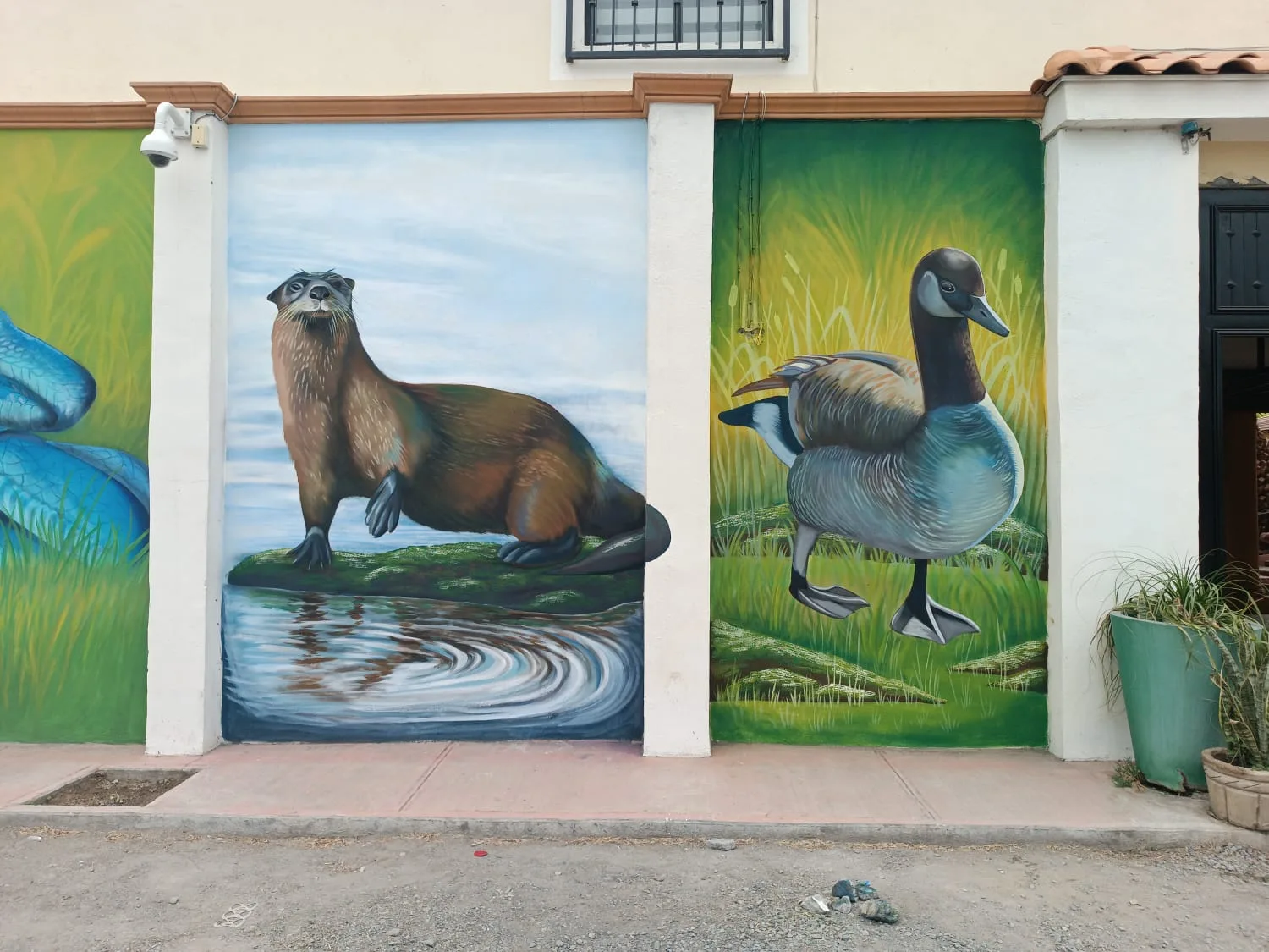 Flora y Fauna